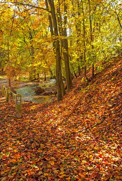 Schöne herbstliche Szene — Stockfoto