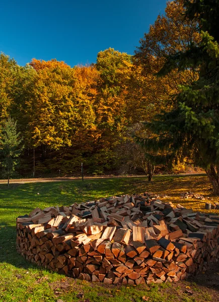 Bella scena autunnale — Foto Stock