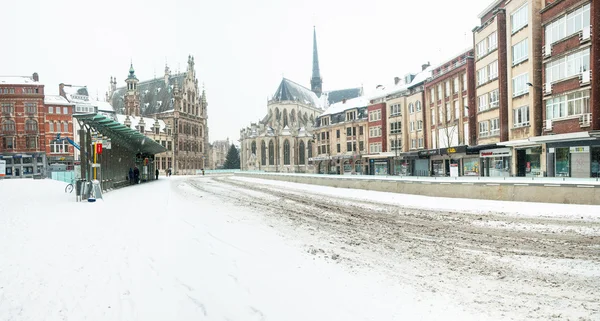 Mangueiras em Lueven no inverno — Fotografia de Stock