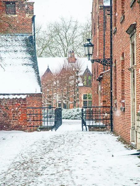 Maisons dans la partie historique de Louvain — Photo