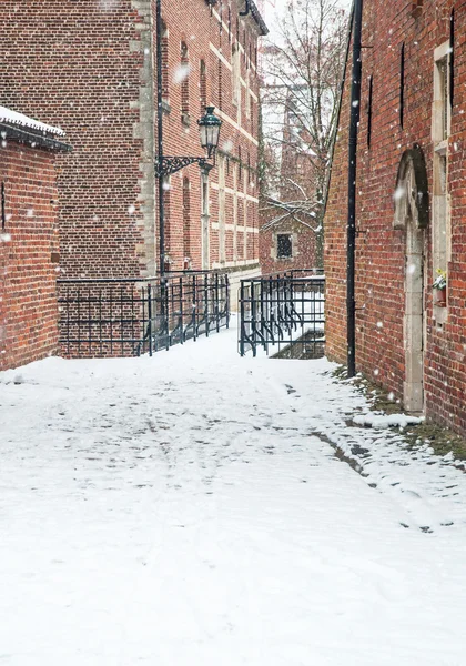 Domy w zabytkowej części miasta Leuven — Zdjęcie stockowe