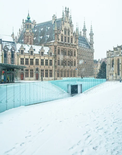 Tubi flessibili a Lueven in inverno — Foto Stock