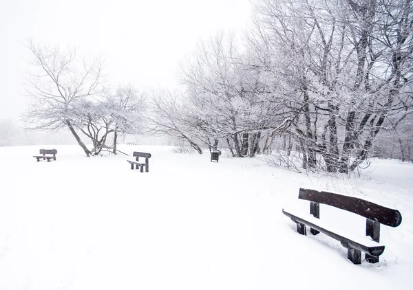 Bonita escena de invierno —  Fotos de Stock
