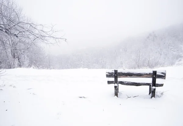 Belle scène d'hiver — Photo