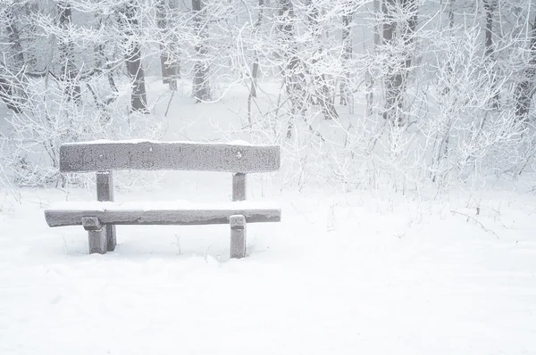 漂亮的冬季场景 — 图库照片
