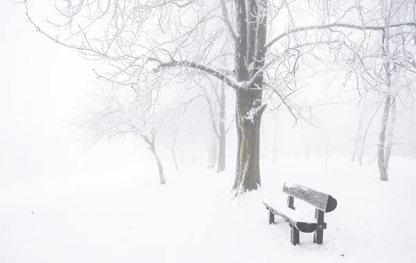 Belle scène d'hiver — Photo