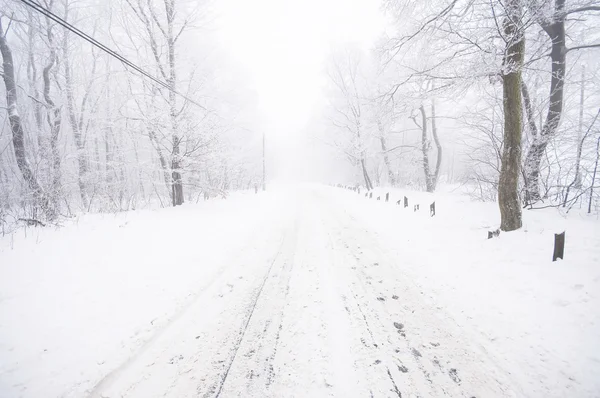 Güzel kış sahne — Stok fotoğraf