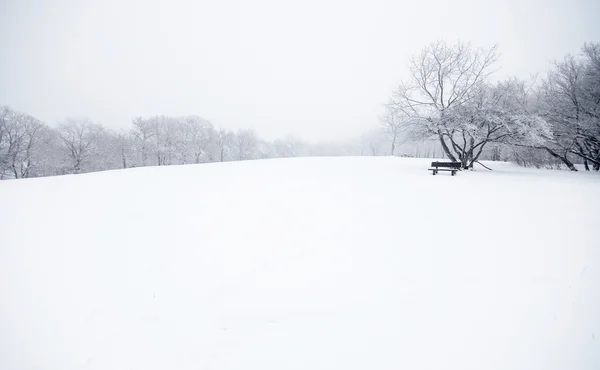 Bonita escena de invierno —  Fotos de Stock