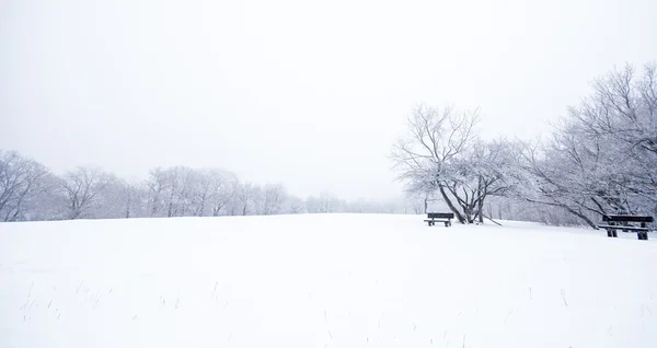 Belle scène d'hiver — Photo