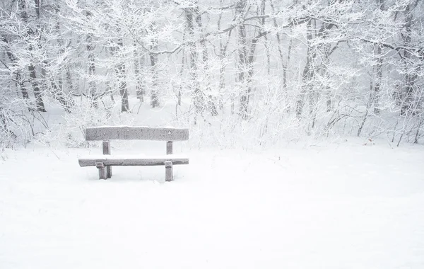 Bonita escena de invierno — Foto de Stock