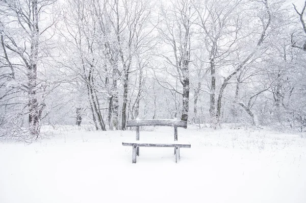 Belle scène d'hiver — Photo