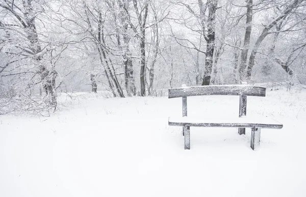 Güzel kış sahne — Stok fotoğraf