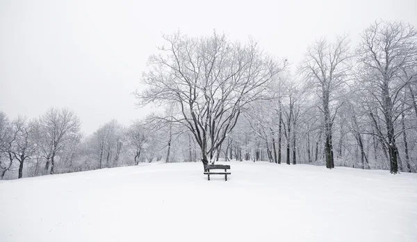 Хорошая зимняя сцена — стоковое фото
