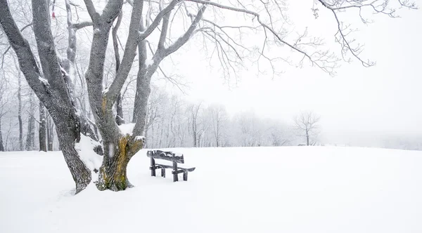 Belle scène d'hiver — Photo