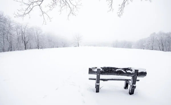 Belle scène d'hiver — Photo