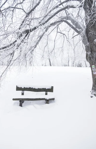 Ładne zimowa scena — Zdjęcie stockowe