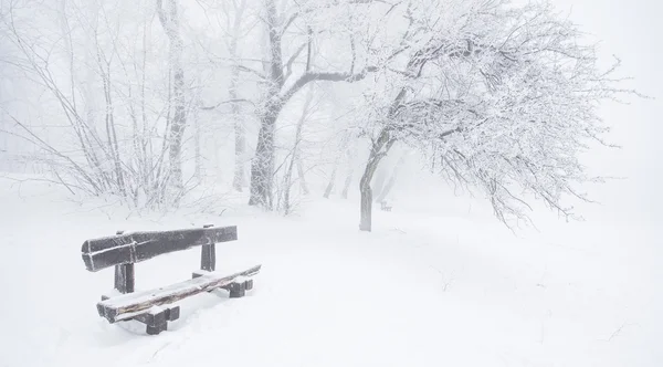 Bonita escena de invierno —  Fotos de Stock