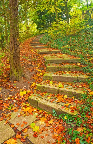 Treppe im Park — Stockfoto