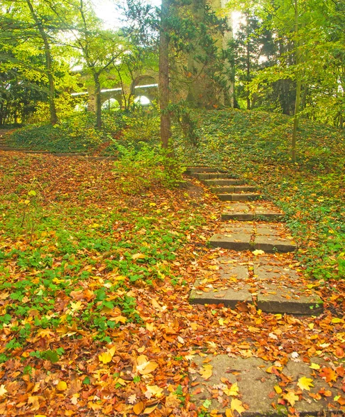 Treppe im Park — Stockfoto