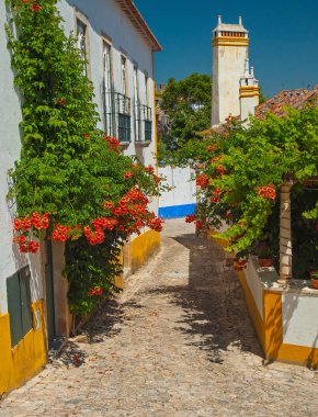OBIDOS, PORTUGAL - 21 Haziran 2010: 21 Haziran 2010 tarihinde Portekiz 'in eski Obidos kenti. Obidos hala kale duvarları arasında bulunan ve yaz aylarında turistler arasında çok popüler bir ortaçağ kasabasıdır..