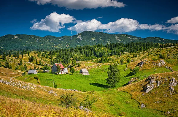 Mooi Dorp Met Houten Huizen Bergen Van Montenegro — Stockfoto