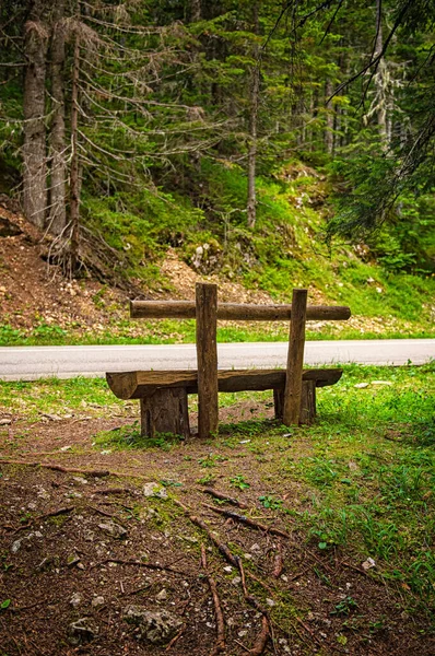 Bench Park Summer — Stock Photo, Image