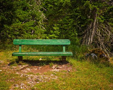 Yazın parkta bankta.