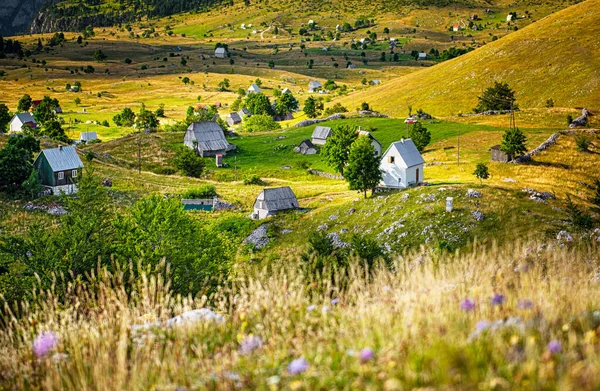 Sat Frumos Case Din Lemn Munții Muntenegrului — Fotografie, imagine de stoc