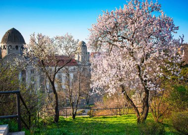 Baharda Budapeşte 'de Gellert termal banyoları