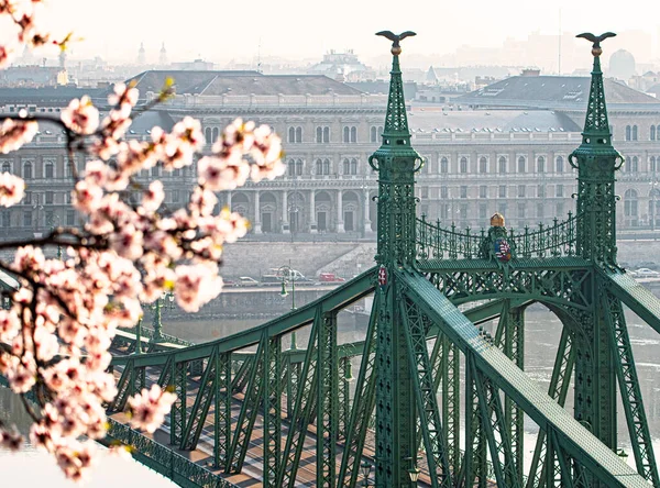Beroemde Liberty Bridge Met Amandelboom Het Voorjaar — Stockfoto