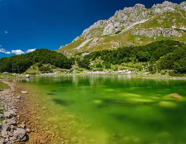 Increíble Vista Del Lago Skrcko Parque Nacional Durmitor Montenegro Verano —  Fotos de Stock