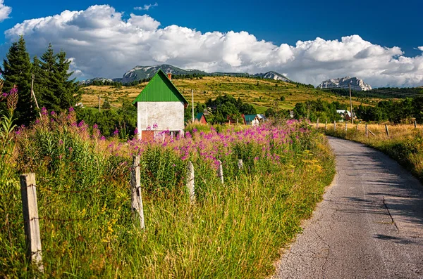 Mooi Landhuis Met Roze Bloemen — Stockfoto