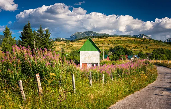 Frumoasă Casă Rurală Flori Roz — Fotografie, imagine de stoc