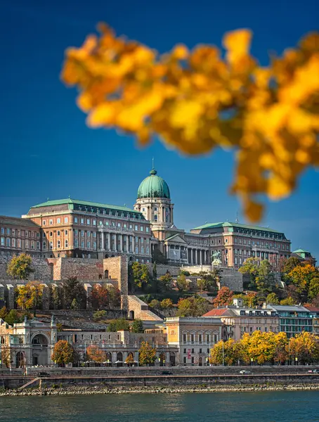Utsikt Över Kungliga Slottet Buda Budapest Ungern — Stockfoto