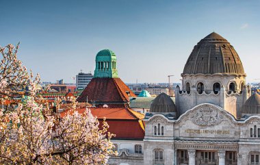 Baharda Budapeşte 'de Gellert termal banyoları