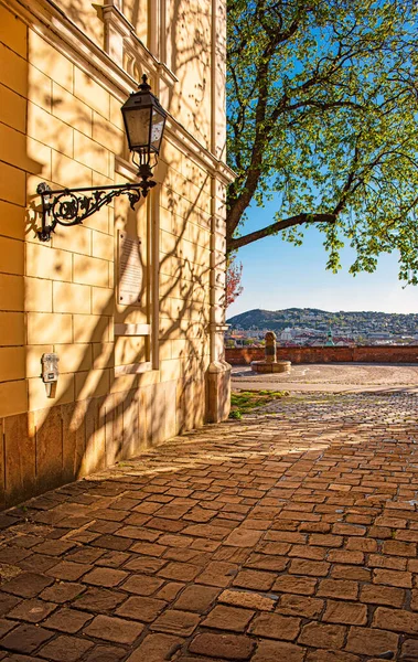 Maison Arpad Toth Promenade Budapest Hongrie — Photo