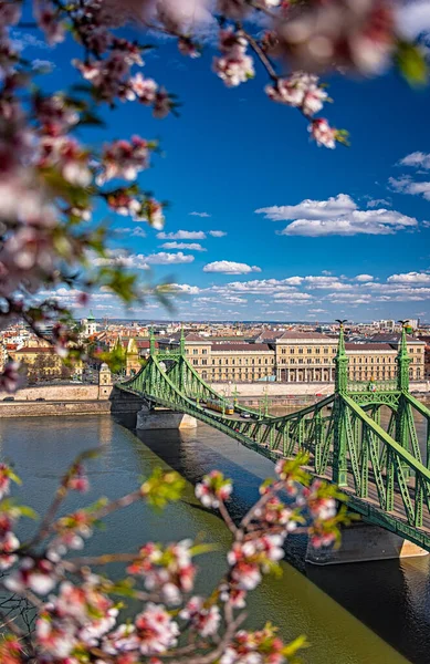 Liberty Bridge Budapest Ungern — Stockfoto