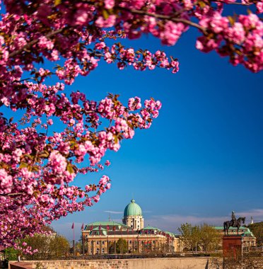 Budapeşte, Macaristan 'daki Budapeşte Kalesi bölgesinde inanılmaz bir bahar manzarası var.