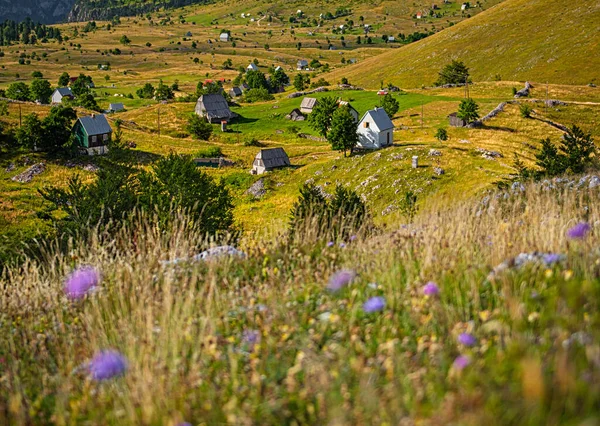Schönes Dorf Mit Holzhäusern Den Bergen Montenegros — Stockfoto