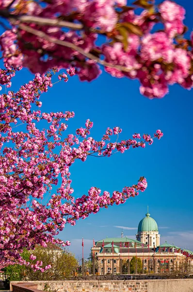 匈牙利布达佩斯Buda城堡区令人叹为观止的春景 — 图库照片
