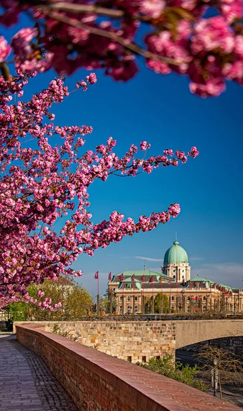 Fantastisk Vårby Buda Slott Distriktet Budapest Ungarn – stockfoto