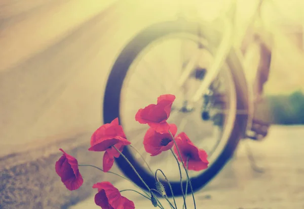 Flores Amapola Bicicleta — Foto de Stock