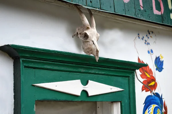 Lebka zvířete nad oknem — Stock fotografie