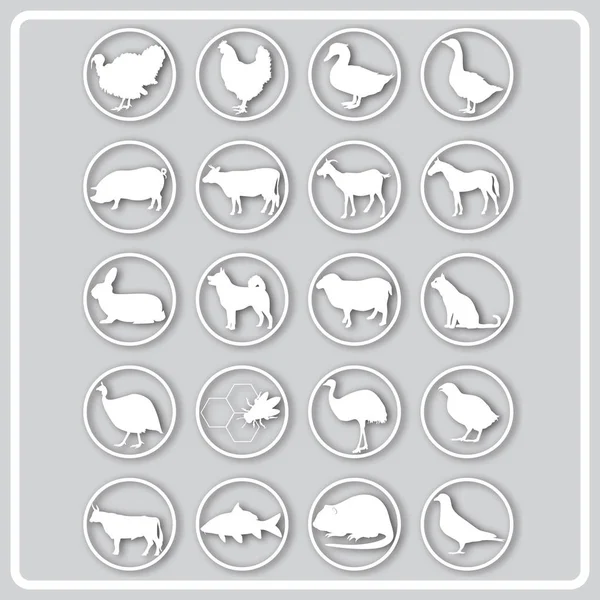Icono gris con siluetas blancas de mascotas — Archivo Imágenes Vectoriales
