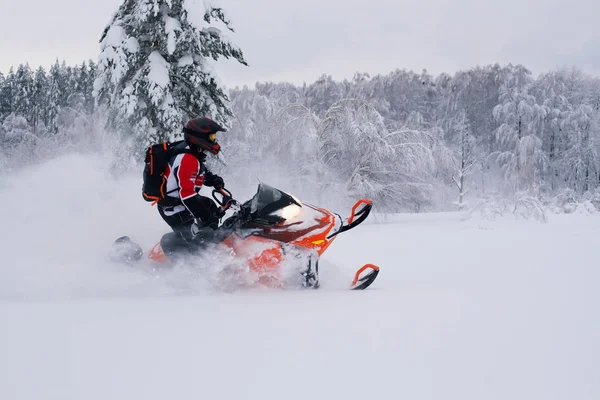 Atleta em um snowmobile em movimento na floresta de inverno — Fotografia de Stock