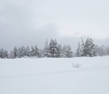 Karlı kış manzarası