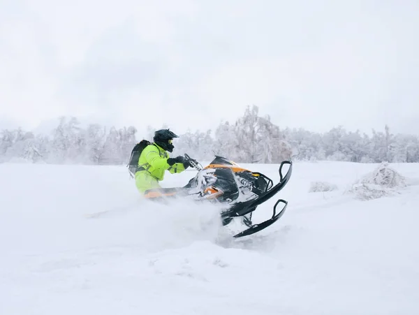 Atleta em uma moto de neve se movendo na floresta — Fotografia de Stock