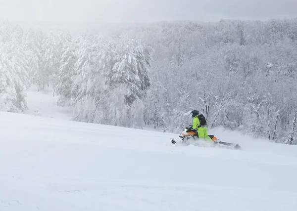 Atleta em uma moto de neve se movendo na floresta — Fotografia de Stock