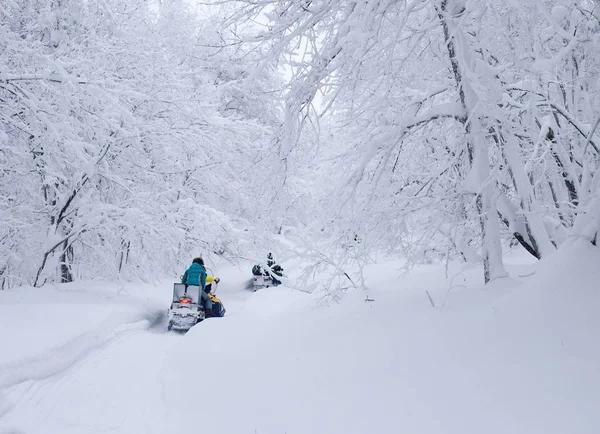 Paysage enneigé d'hiver avec route — Photo