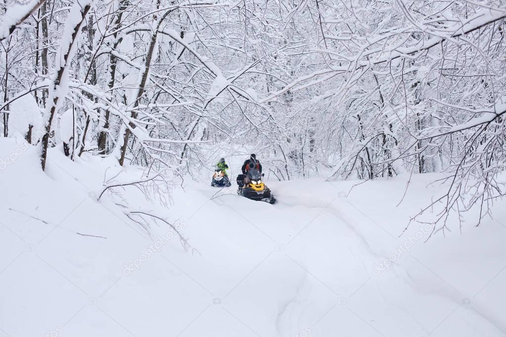 Winter snowy lanscape with road